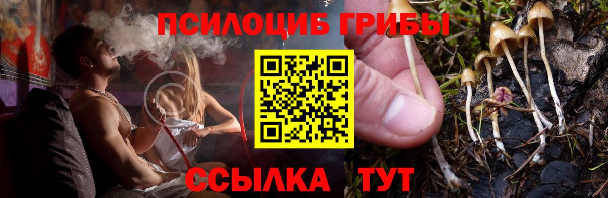Псилоцибиновые грибы мицелий  купить наркотики сайты  Ирбит  Псилоцибиновые грибы Psilocybine cubensis  Вход с VPN 