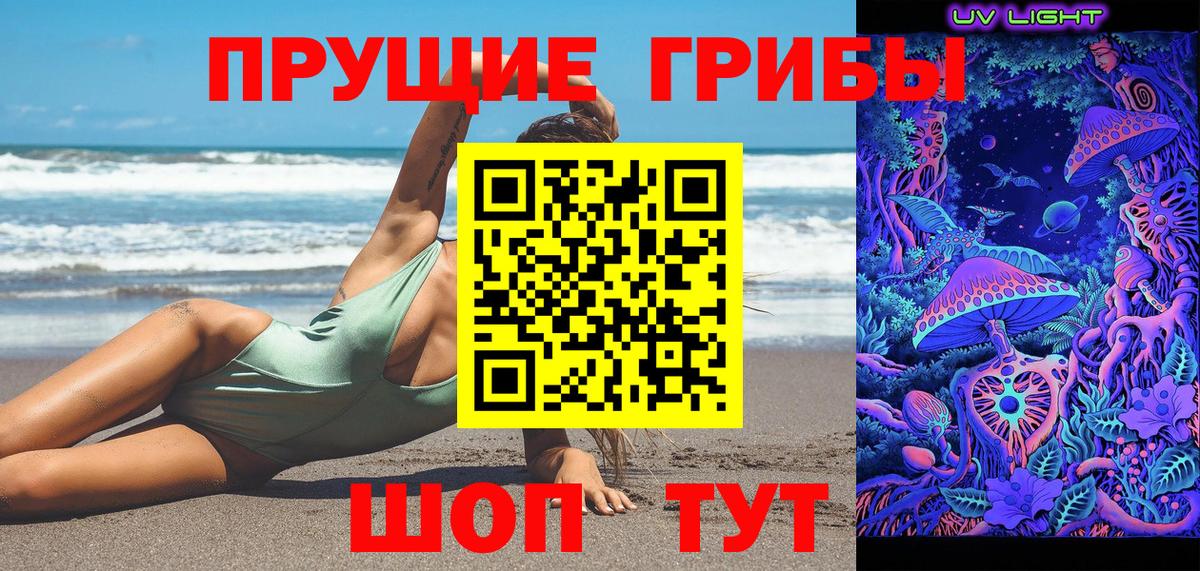 Галлюциногенные грибы Psilocybe Ирбит